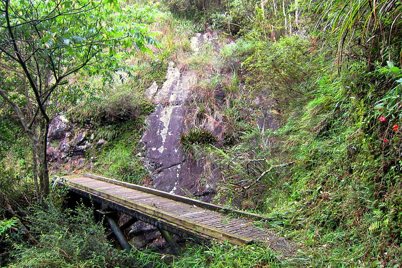 Wooden bridge in the Mountain, wooden bridge, rock wall, mountain climbing, in the mountain, HD wallpaper