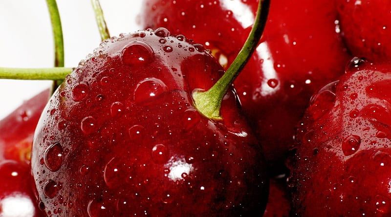 Juicy Cherries, red, cherries, drops, abstract, sweet, fruit, water, green, plump, bunch, pie, stem, shiny, HD wallpaper