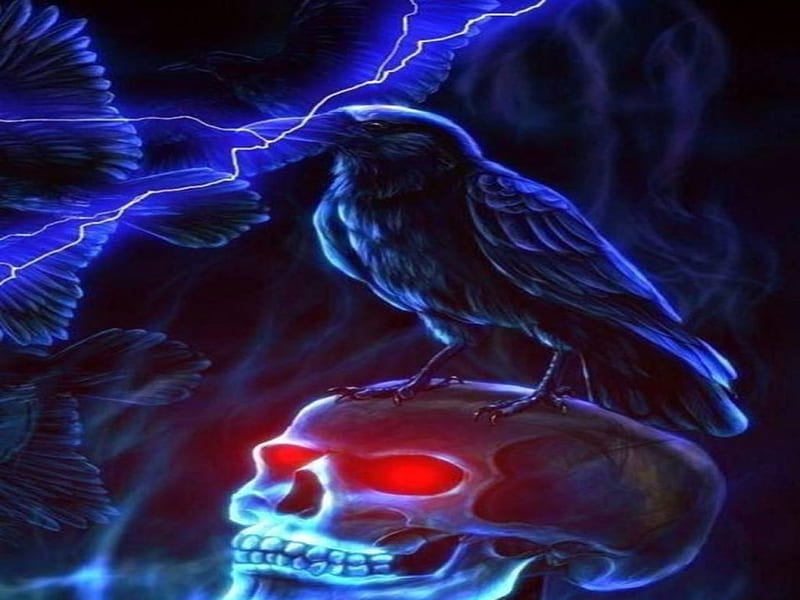 Crow and Skull, Skull, Crow, dark, HD wallpaper | Peakpx