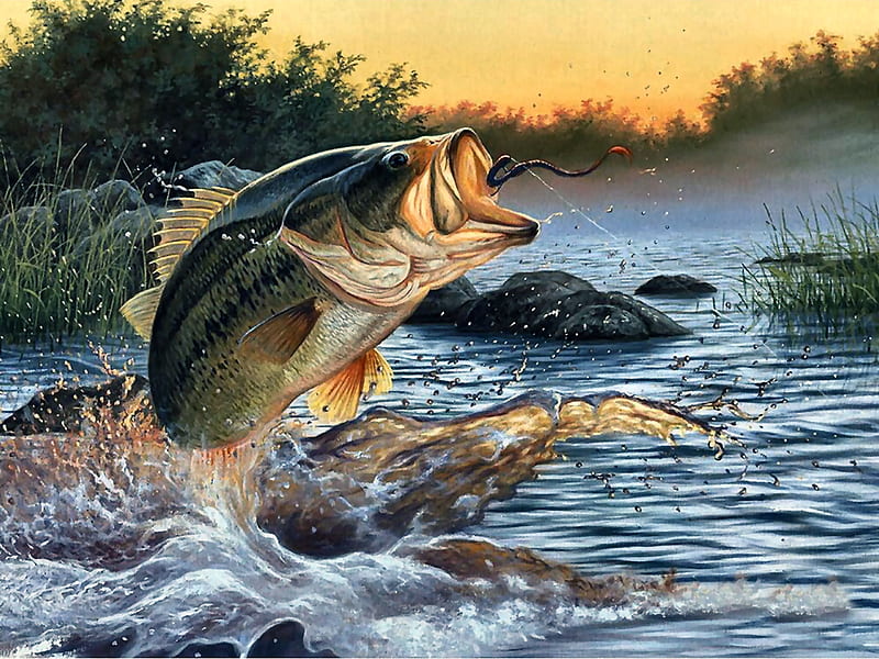 Strike Force - Fish F, art, fish, bonito, illustration, artwork, animal, water, painting, wide screen, wildlife, nature, river, HD wallpaper