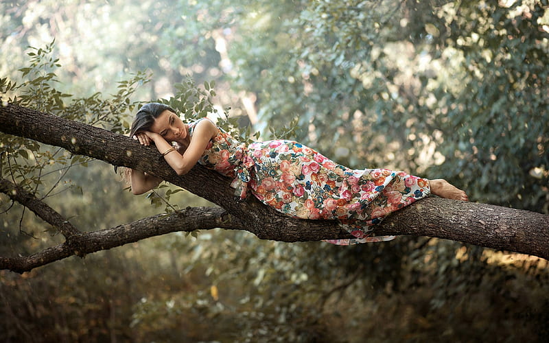 Posing on a Tree, brunette, tree, dress, model, HD wallpaper | Peakpx