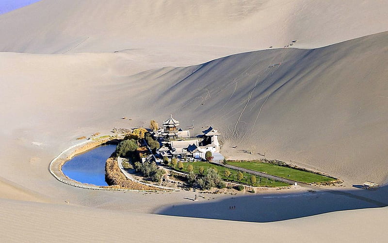 Oasis in Middle of Gobi Desert, Oasis, Desert, China, Nature, HD wallpaper