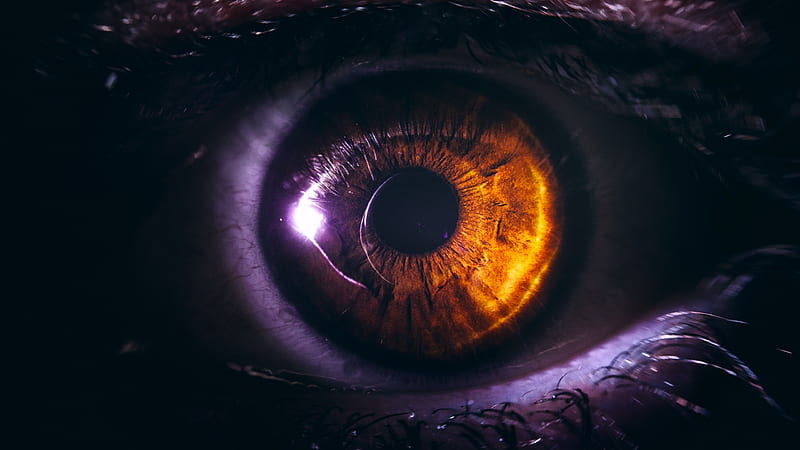 Eye, fantasy, purple, orange, HD wallpaper Eye, fantasy, purple, orange, HD wallpaper