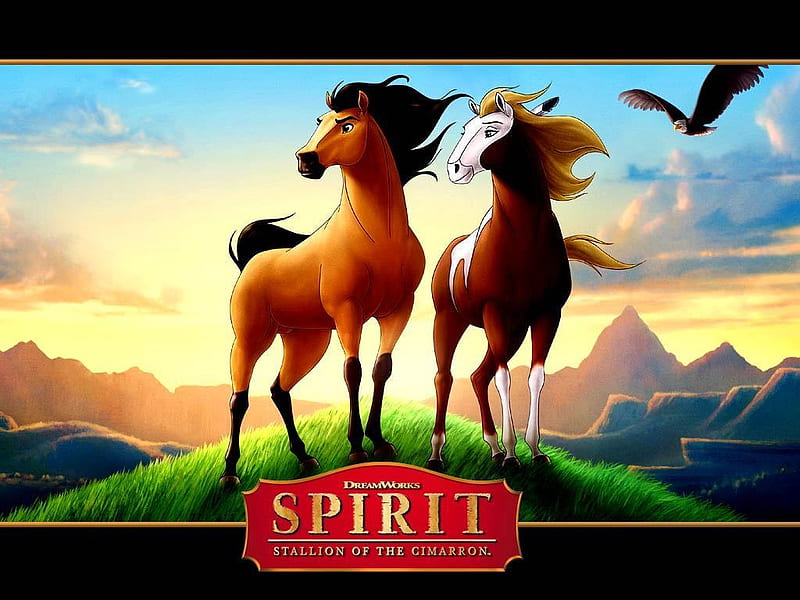 Spirit: Stallion of the Cimarron, dun horse, spirit stallion of the cimarron, movies, rain, horses, pinto horse, HD wallpaper