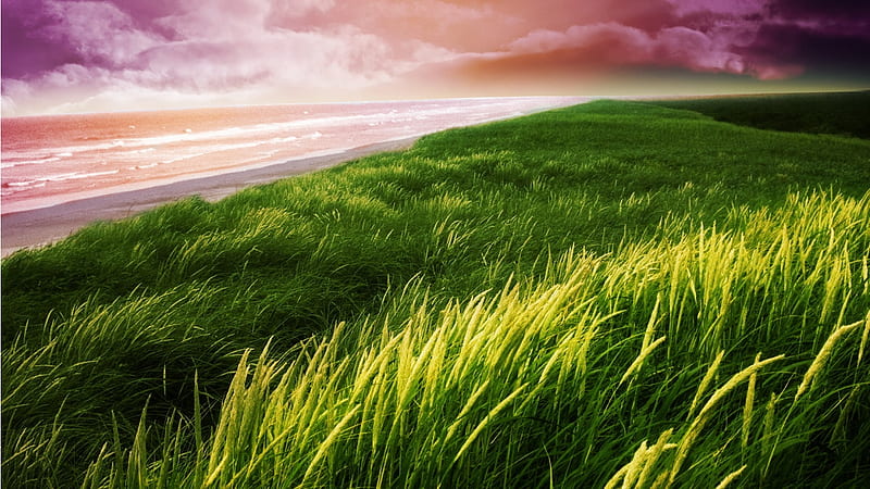 Green Beach, horizon, view, grass, wind, breeze, bonito, sky, clouds, sea, wave, beach, green, nature, HD wallpaper
