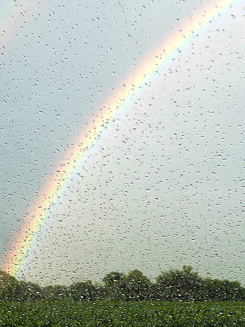 Beautiful Rainbow, blue, colorful, nature, rain, sky, HD phone wallpaper