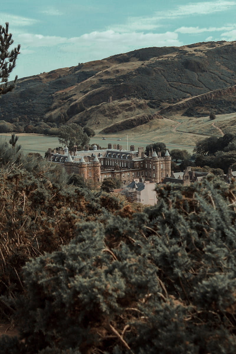 castle, building, old, hills, trees, HD phone wallpaper