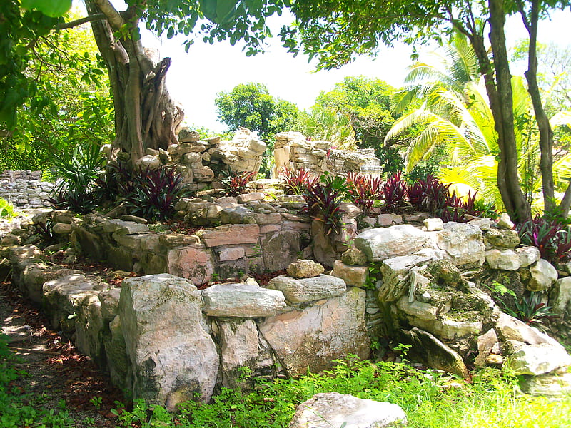 ~Aztec Ruins~Playa Del Carmen, Mexico~, ancient ruins, folige, ruins, aztec ruins, bonito, playa del carmen, aztec, mexico, paradise, plants, jungle, nature, tropical, HD wallpaper