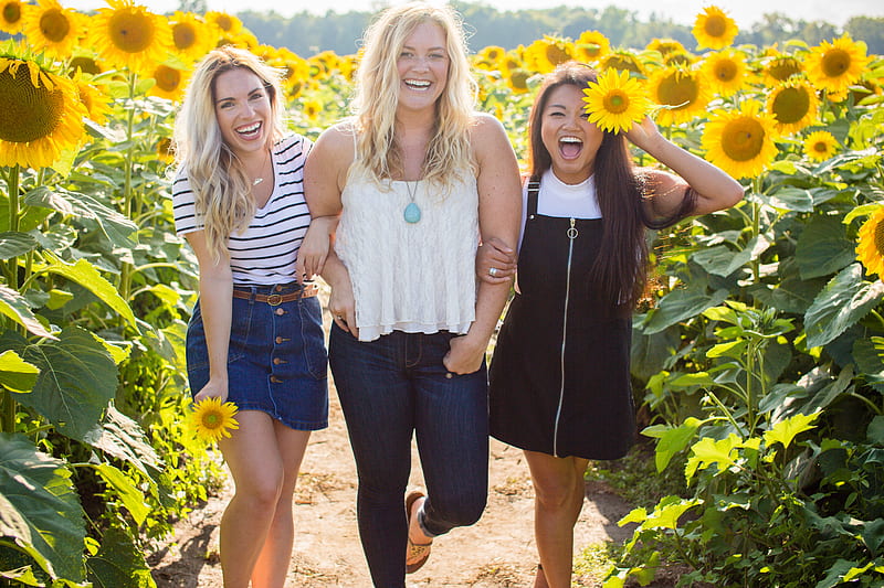 three women standing between sunflowers, HD wallpaper