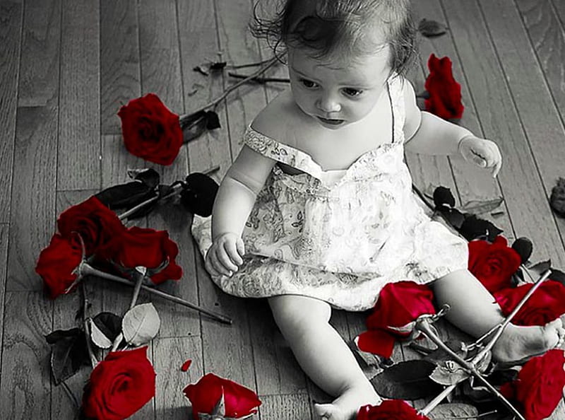 Baby with red roses, new, color wallpper, HD wallpaper | Peakpx