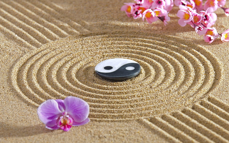 Zen, philosophy, Buddhism, Yin and Yang, energy, sand monk, japan, HD wallpaper