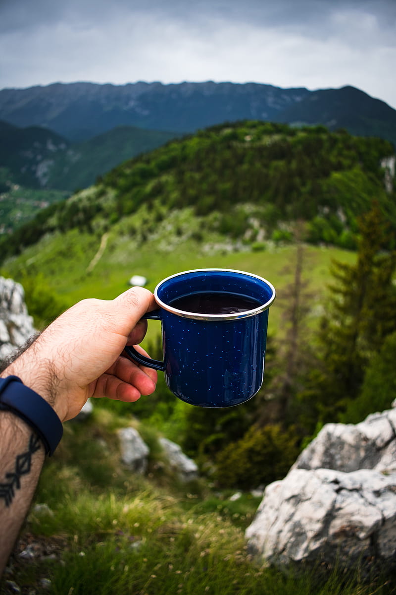 cup, coffee, hand, nature, HD phone wallpaper