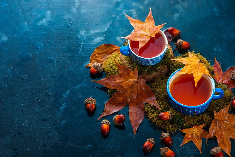 :-), acorn, autumn, orange, toamna, cup, tea, blue, leaf, HD wallpaper