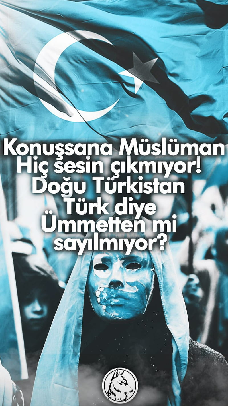 TTAGRUP, ttagrafik, turkistan, HD phone wallpaper