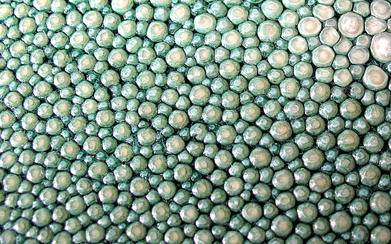 Green pearls texture, gems texture, background with pearls, texture with turquoise circles, HD wallpaper