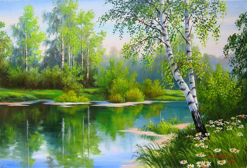 Cool summer morning, pretty, riverbank, shore, birch, bonito, nice, calm, painting, flowers, river, morning, reflection, forest, quiet, lovely, sky, trees, lake, daisies, water, cool, serenity, summer, lakeshore, HD wallpaper