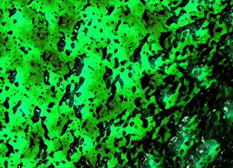 Green Mold, mold, green, texture, black, bumps, HD wallpaper