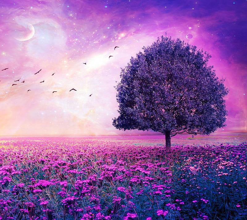 pink scenery , tree, view, HD wallpaper