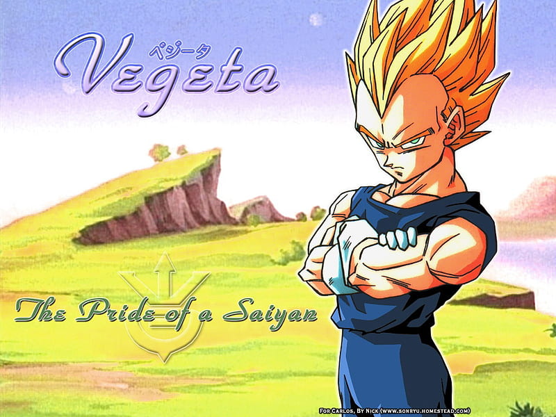 Vegeta's pride, pride, cool, sayian, vegeta, HD wallpaper | Peakpx