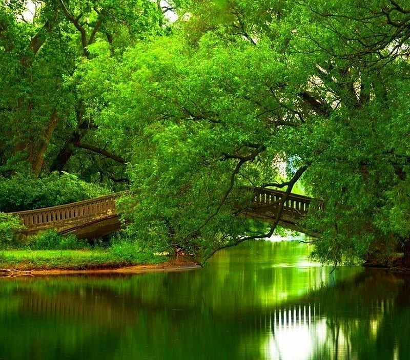 Green Paradise