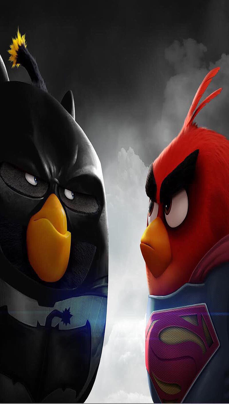 Angry Bird, cartoon, heroes, super, HD phone wallpaper | Peakpx