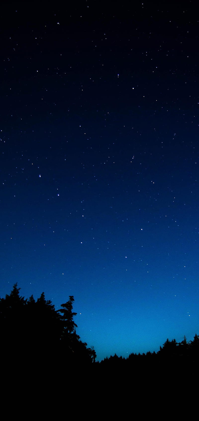 SKY, dark, night, star, stars, HD phone wallpaper SKY, dark, night, star, stars, HD phone wallpaper
