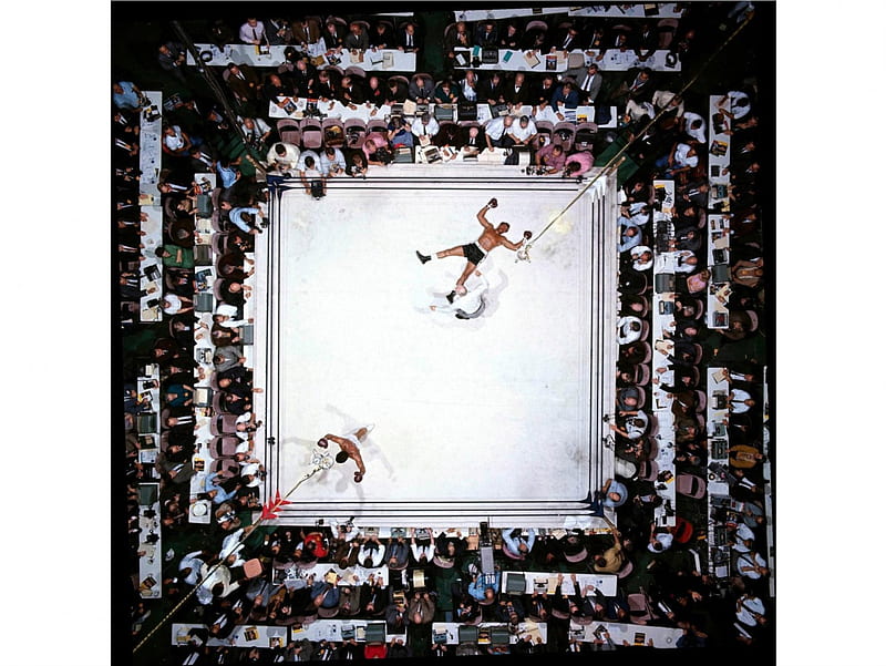 Muhammad Ali year 1966, ali, ali , ali , champ, boxing, greatest of all time, HD wallpaper