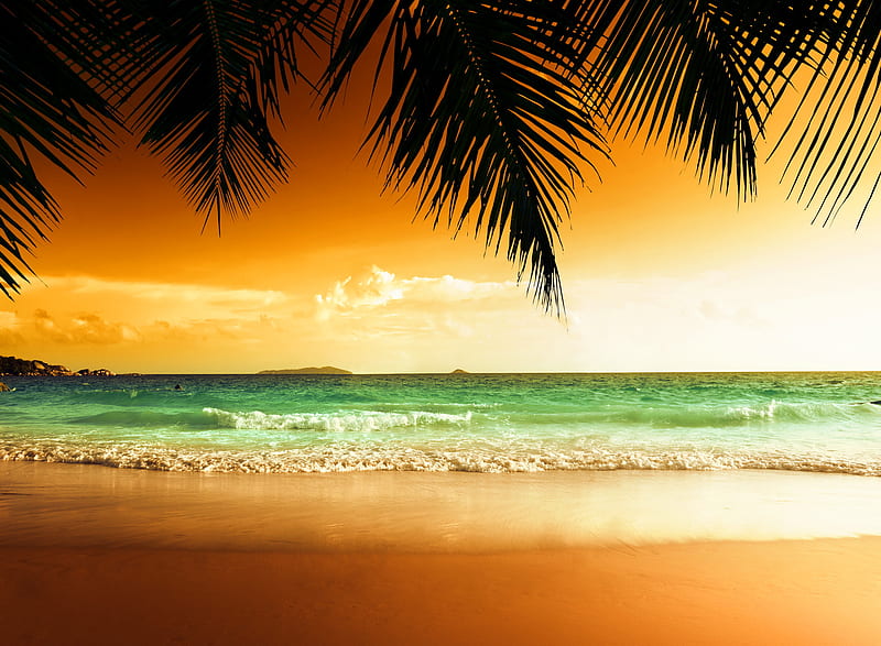 Tropical Beach, beach, bonito, palms, sea, sunset, tropical, tropics, water, HD wallpaper