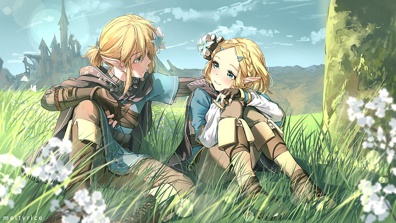 Link and Zelda fanart (BOTW)