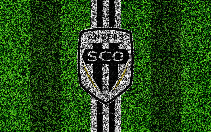 Angers SCO football lawn, logo, French football club, grass texture, emblem, black and white lines, Ligue 1, Angers, France, football, Angers FC, HD wallpaper