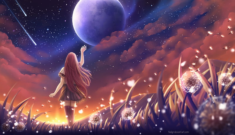 Beautiful night, stars, manga, sky, dandelion, girl, planet, anime, summer,  field, HD wallpaper | Peakpx