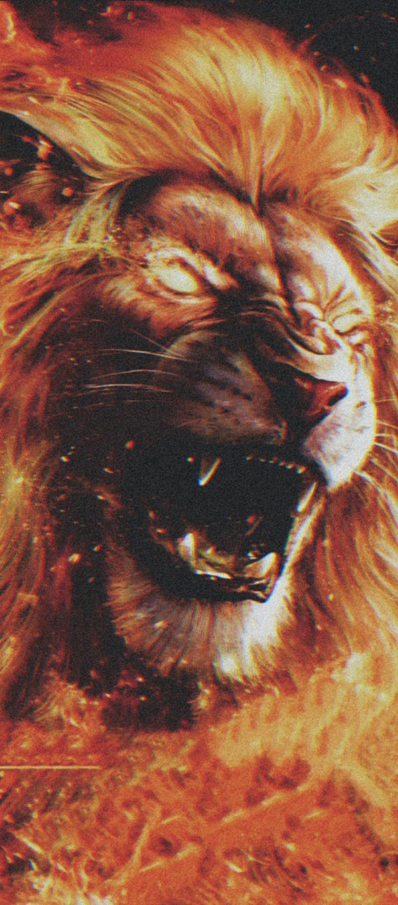 angry lion, animal, king, lions, HD phone wallpaper