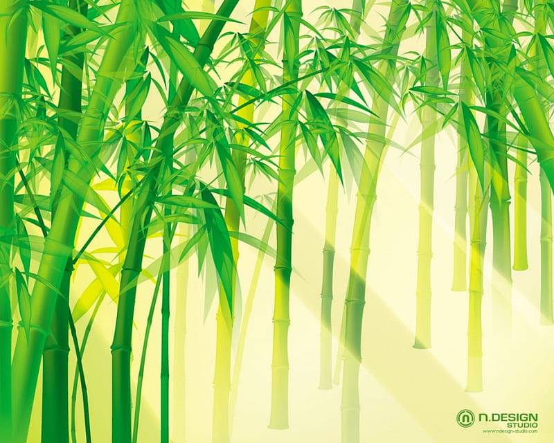 bamboo forest, nature, green, HD wallpaper