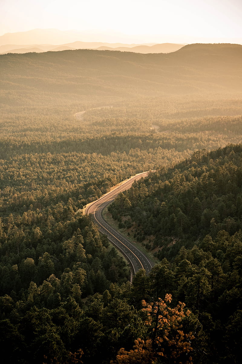 road, forest, aerial view, markup, HD phone wallpaper