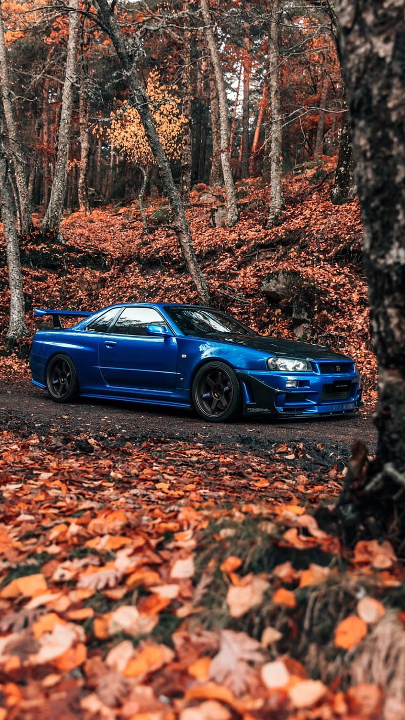 Nissan GTR r34, autumn, blue, car, gt-r, HD phone wallpaper | Peakpx
