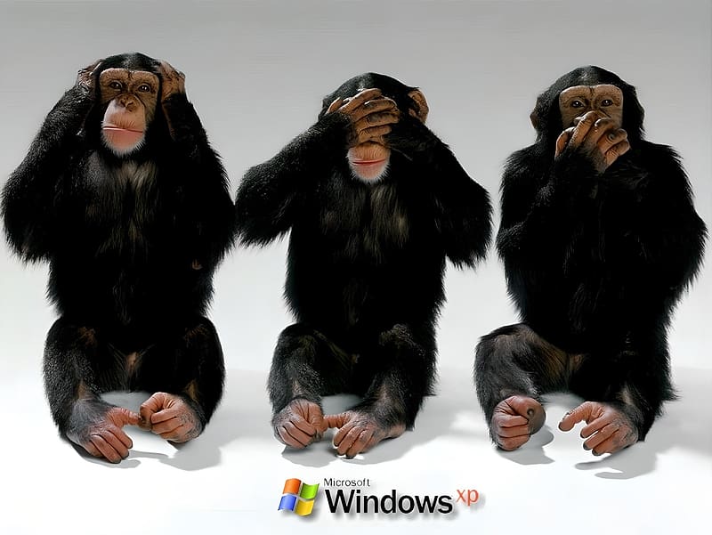 Hear No Evil, See No Evil, Speak No Evil, Monkeys, Evil, Online, Windows, Hear, See, Speak, HD wallpaper