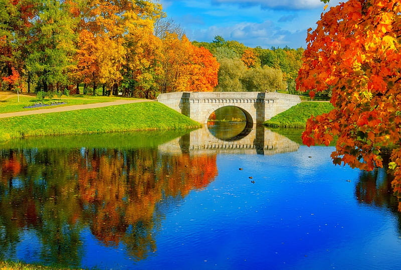 Autumn Bridge Colorful Fall Autumn Bonito Park Trees Lake Foliage Pond Hd Wallpaper 