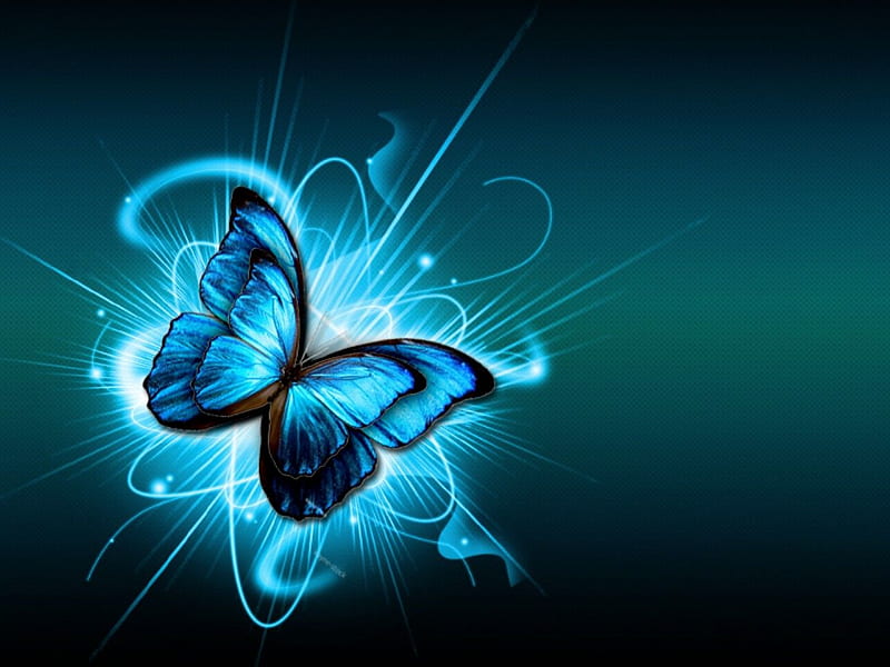 BLUE BUTTERFLY, wings, butterfly, blue, animal, HD wallpaper