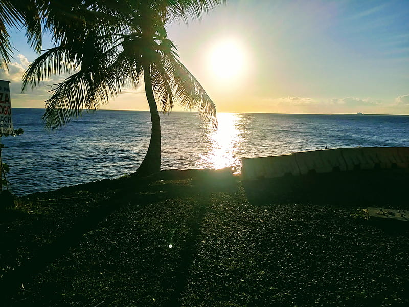 Paisaje de sol, coastline, palma, rd, sea, HD wallpaper