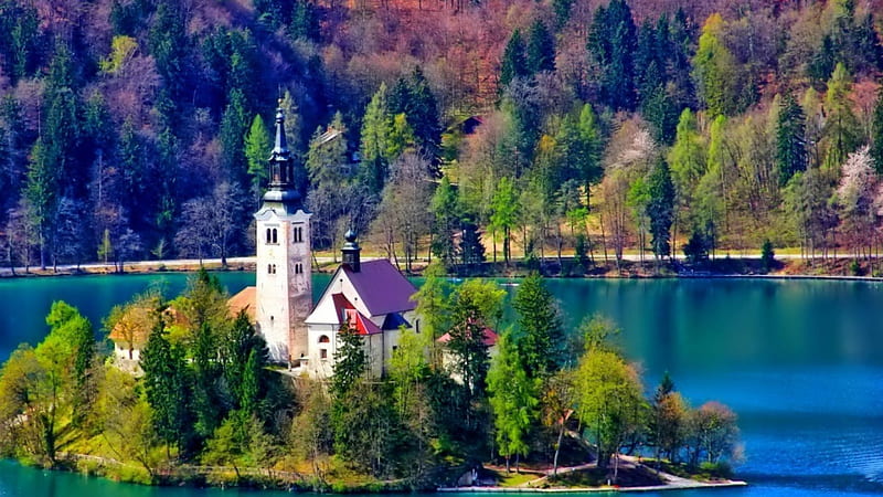 church on an island in lake bled, forest, island, church, lake, HD wallpaper