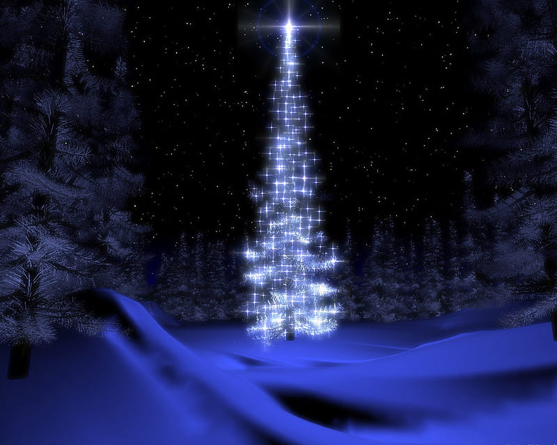 TREE STAR OF CRISTMAS , tree, cristmas, star, noel, HD wallpaper