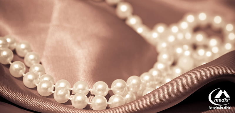 The oyster and pearl, pearl, stole, silk, necklace, HD wallpaper