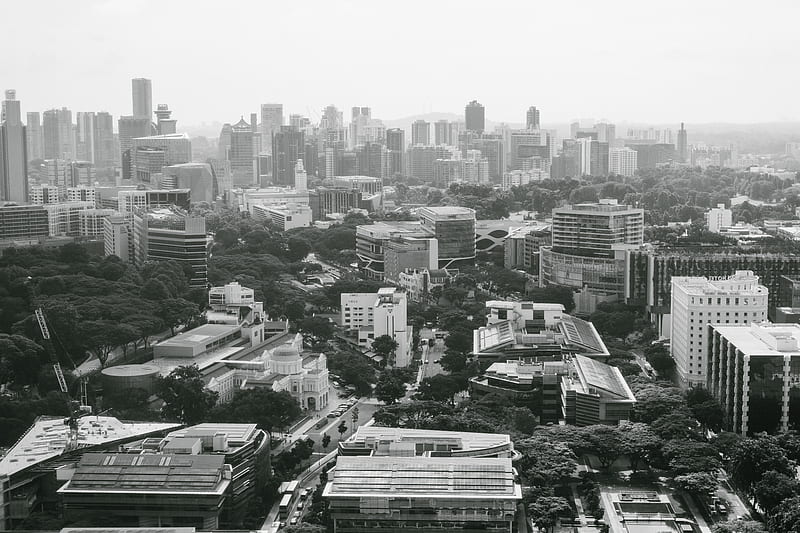 Bird's Eye View Of City During Dayitme, HD wallpaper