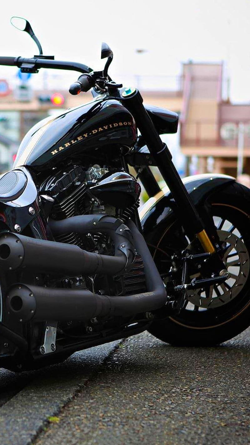 100 Harley Davidson Mobile Wallpapers  Wallpaperscom