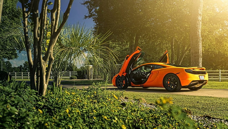 sun shining on a mclaren mp4 12c, orange, car, sunshine, park, doors, HD wallpaper