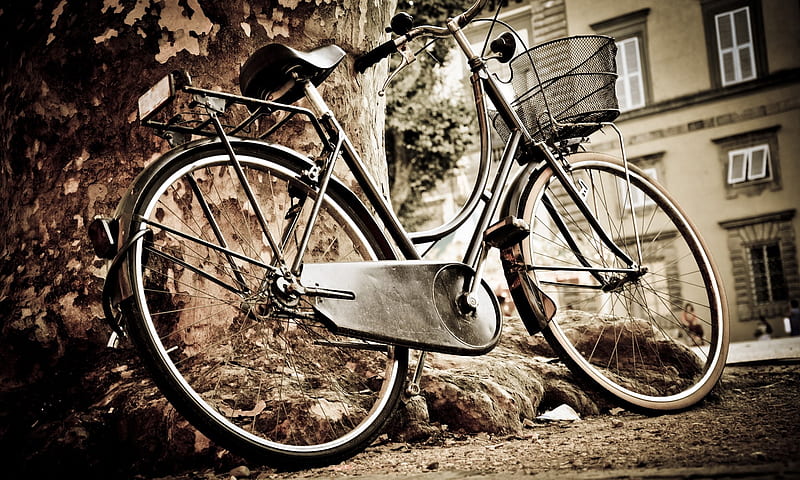 ♡ bicycle ♡, tree, house, Bicycle, park, wheels, HD wallpaper