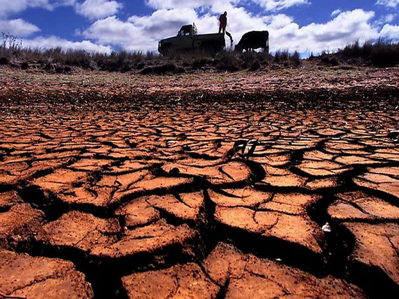 Drought, parched, Australia, earth, HD wallpaper