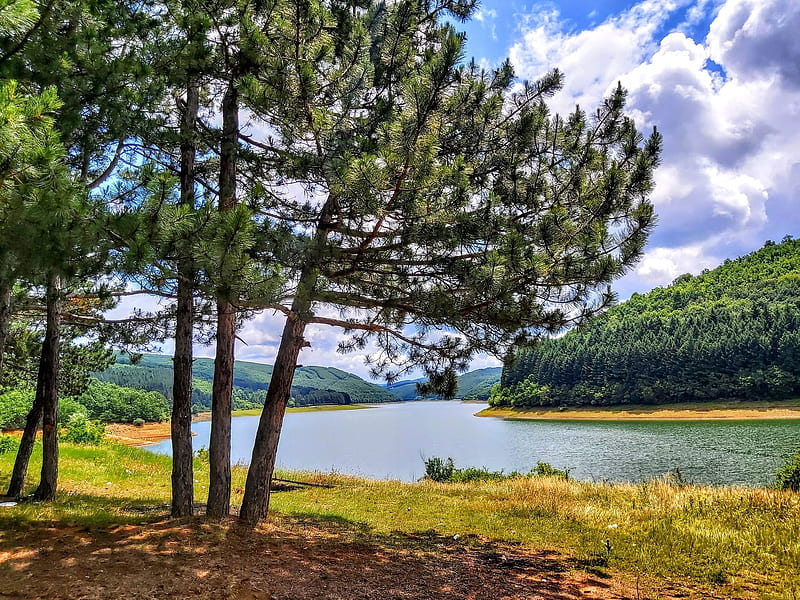 maximum calm and freshness at the lake, Lake, Mountains, Shore, Pines, HD wallpaper
