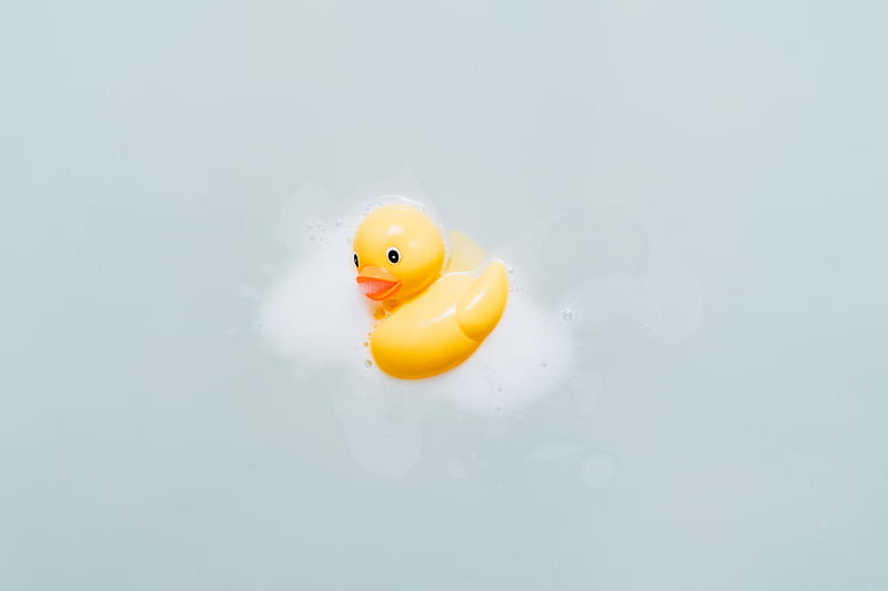 yellow bath duck, HD wallpaper
