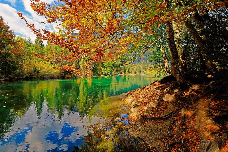 Autumn trees by the lake, reflection, fall, autumn, trees, beautiful, serenity, colorful, tranquility, branches, foliage, HD wallpaper